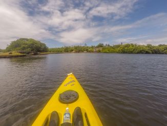 MICRONESIA FSM - Must do activity on Yap: Kayaking through the mangroves