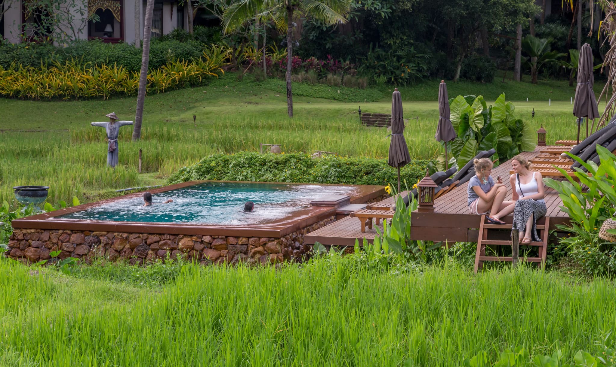Swimming pool in rice fields THAILAND Four Seasons Chiang Mai A