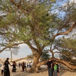 Bahrain - Tree of Life