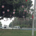 Bahrain - Driving around