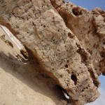 Bahrain - Dinosaur Rock Site