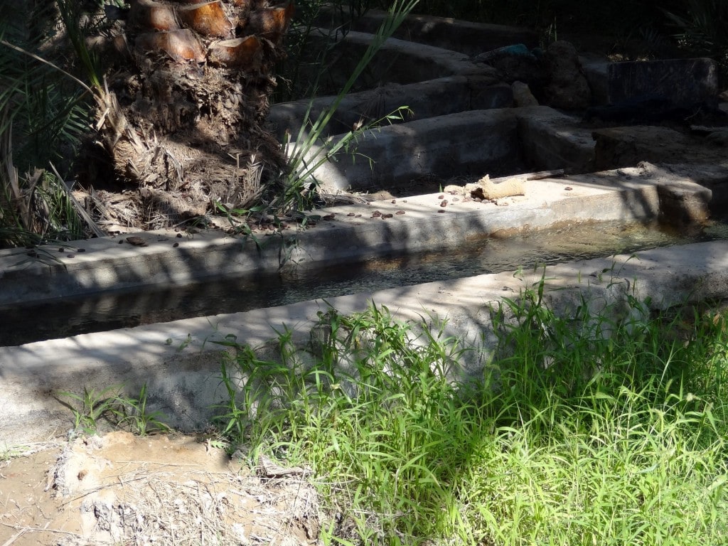 Dubai - Day trip to Al Ain