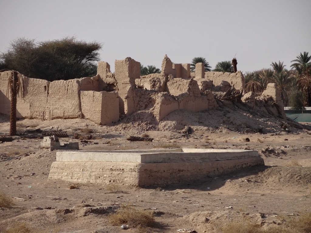 Dubai - Day trip to Al Ain