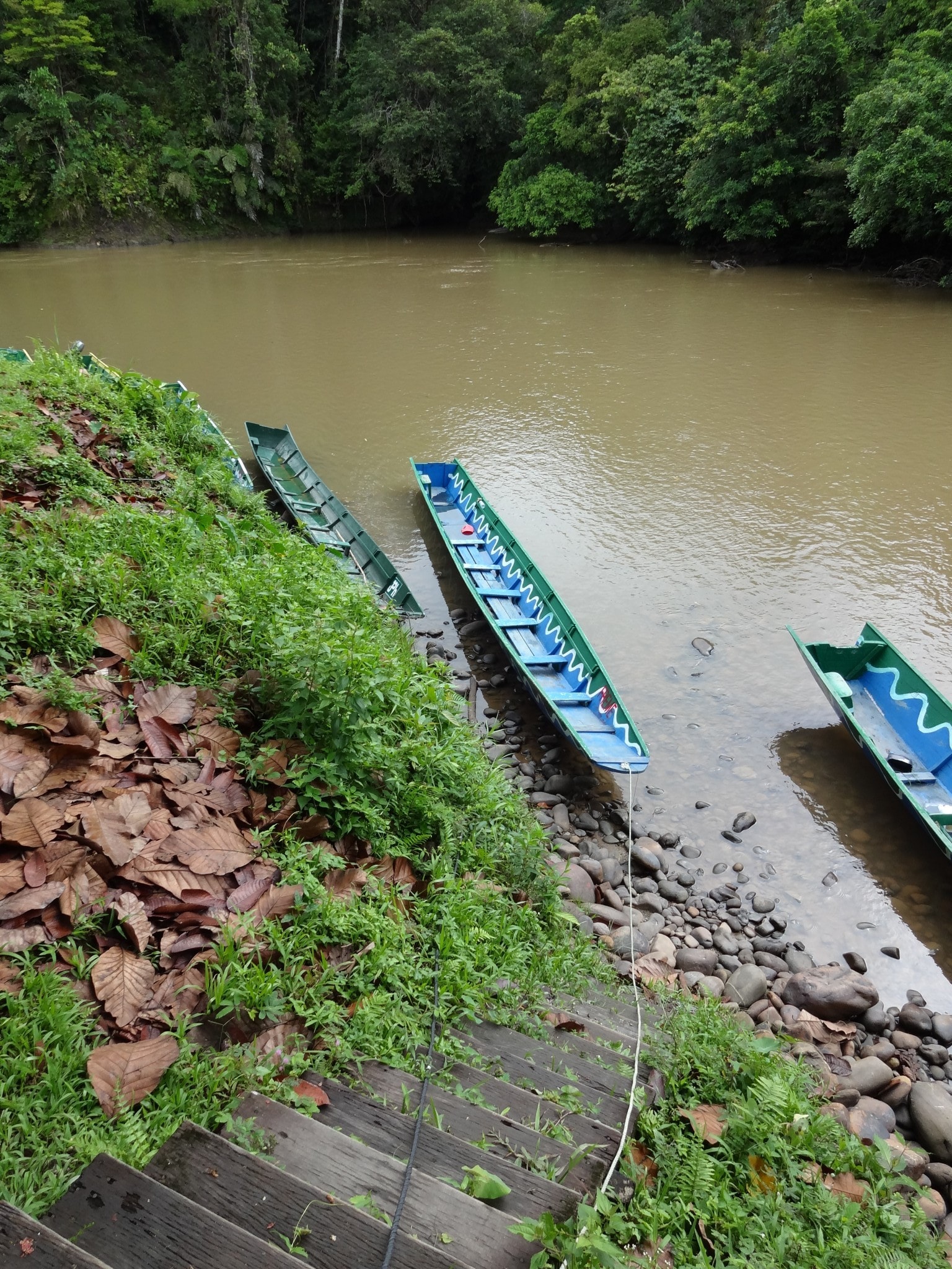 Brunei - Ulu Temburong National Park