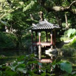 Republic Korea - Seoul - Changdeokgung