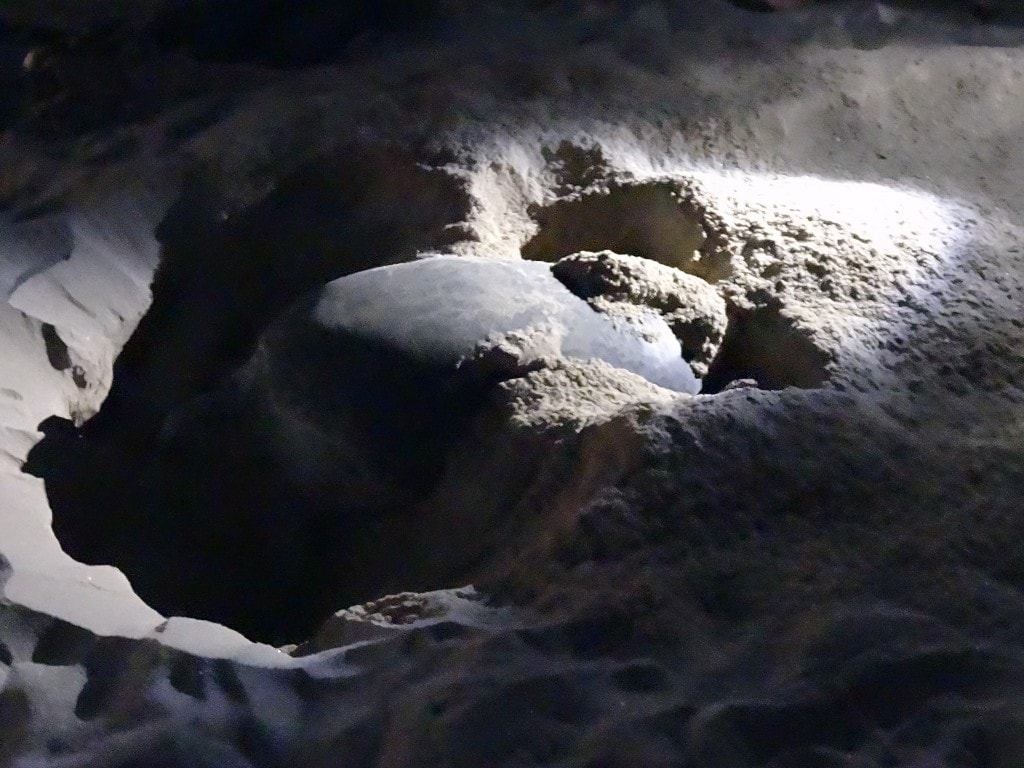 Oman - Jas al Rinz Turtle Reserve