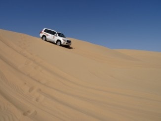 Abu Dhabi - Dune Bashing