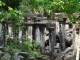 Cambodia - Beng Mealea Temple Complex