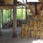 Sweden - Stockholm - Birka Island