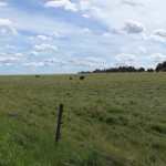 Sweden - Stockholm - Birka Island