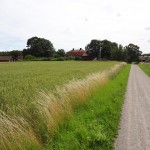 Sweden - Stockholm - Birka Island