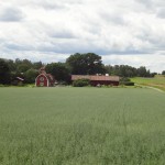 Sweden - Stockholm - Birka Island