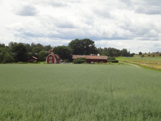 Sweden - Stockholm - Birka Island