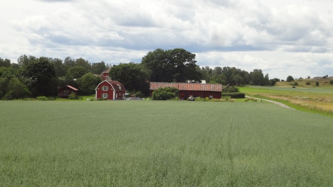 Sweden - Stockholm - Birka Island Sweden - Stockholm - Birka Island