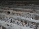 China - Xian - Terra Cotty Army