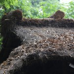 China - Chengdu - Du Fu Thatched Cottage