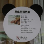 China - Chengdu - Panda Center