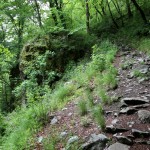 Bulgaria - Rila Monestary