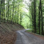 Slovakia - Banska Stiavnica