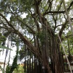 China - Xiamen Gulangyu