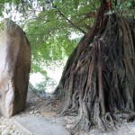 China - Tulou - Changjiao Ancient Village