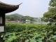 China - Hangzhou - Westlake