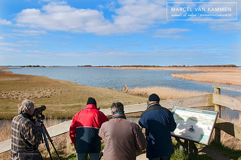 Noord Nederland: Lauwersmeer & Waddenzee
