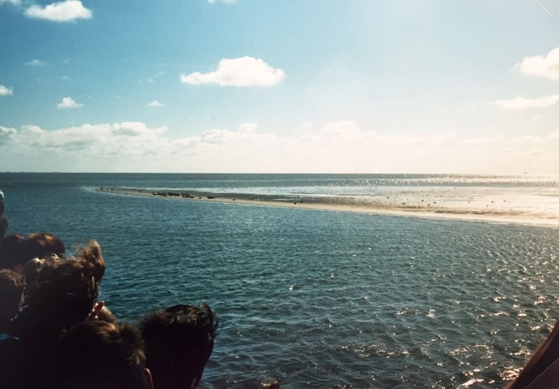 Noord Nederland: Lauwersmeer & Waddenzee