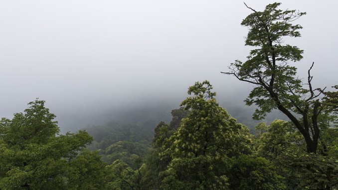 Qingcheng Header Image Video