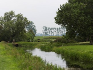 Beautiful nature at Lauwersmeer & the Pieterpad walking trail