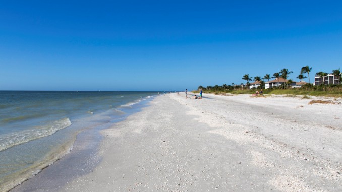 USA - Beautiful white beaches and wildlife at Sanibel Island in Florida USA - Beautiful white beaches and wildlife at Sanibel Island in Florida