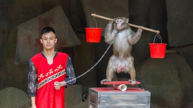 CHINA - Two times disappointing Hainan: Monkey Island abused animals and closed Wuzishan CHINA - Two times disappointing Hainan: Monkey Island abused animals and closed Wuzishan