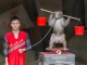 CHINA - Two times disappointing Hainan: Monkey Island abused animals and closed Wuzishan