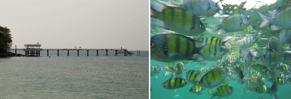 THAILAND - Amari Phuket: a secluded private resort next to Patong Beach