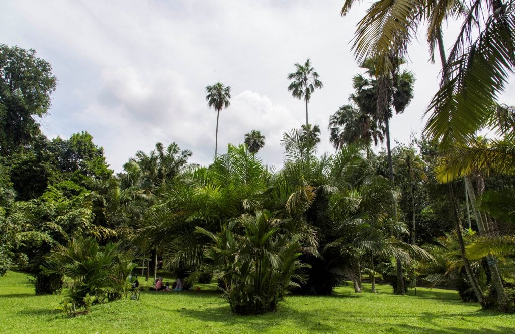 INDONESIA - The Bogor Botanical Gardens as a stop between Jakarta and Bandung