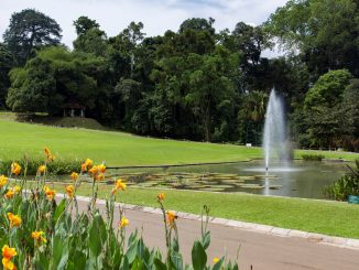 INDONESIA - The Bogor Botanical Gardens as a stop between Jakarta and Bandung