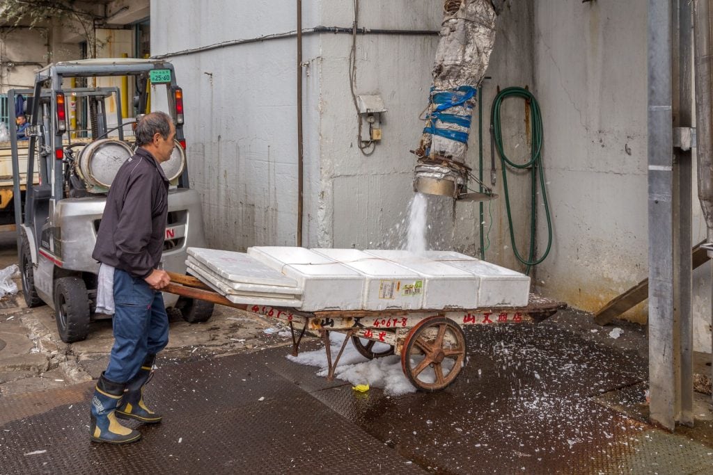 JAPAN - Experience Tokyo: Tsukiji fish market & a sushi workshop