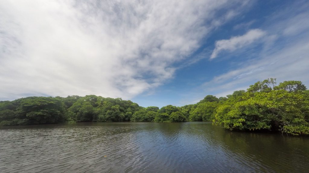 MICRONESIA FSM - Must do activity on Yap: Kayaking through the mangroves