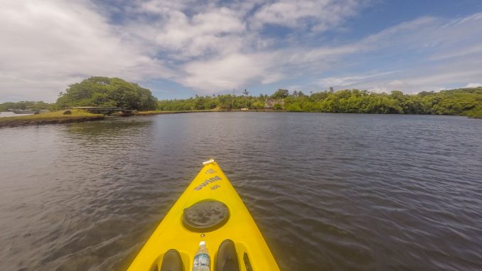 MICRONESIA FSM - Must do activity on Yap: Kayaking through the mangroves MICRONESIA FSM - Must do activity on Yap: Kayaking through the mangroves