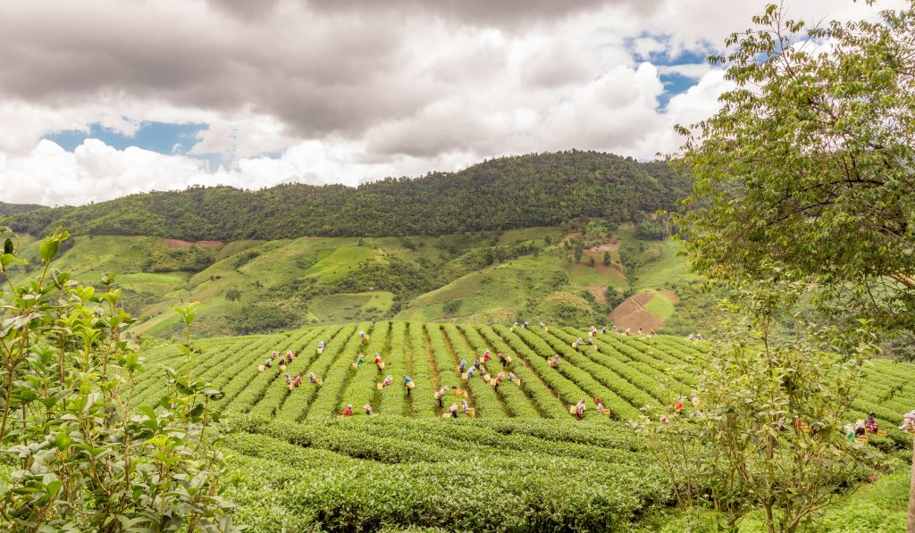 THAILAND - An amazing Thailand itinerary guide for 2 or 3 weeks (by car)