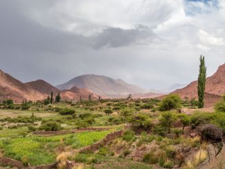 Altiplano Landscape - BOLIVIA - Amazing 10-day Bolivia itinerary to Sucre & the Altiplano