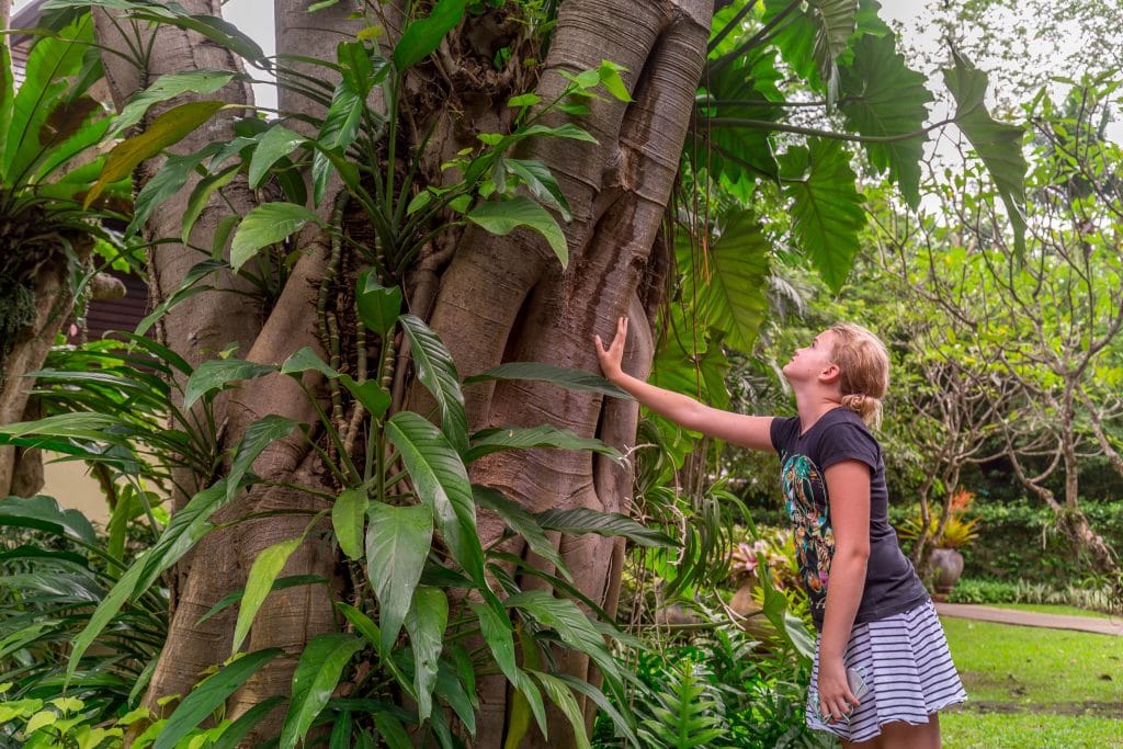 Nature trail - THAILAND - Four Seasons Chiang Mai: A luxury treasure in the Mae Rim Valley