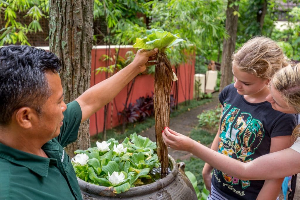 Nature trail - THAILAND - Four Seasons Chiang Mai: A luxury treasure in the Mae Rim Valley