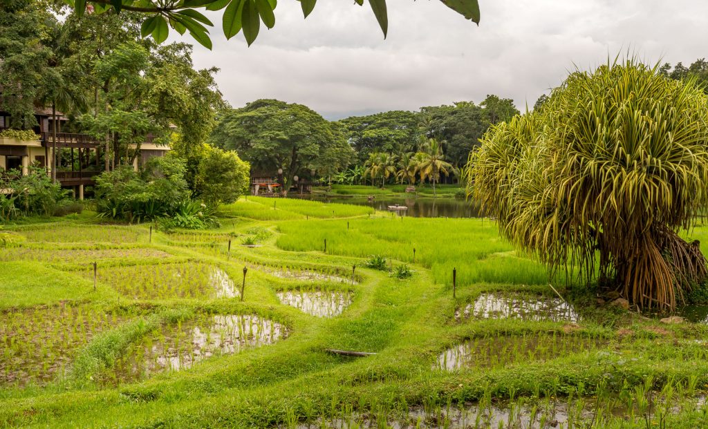 Scenery - THAILAND - Four Seasons Chiang Mai: A luxury treasure in the Mae Rim Valley