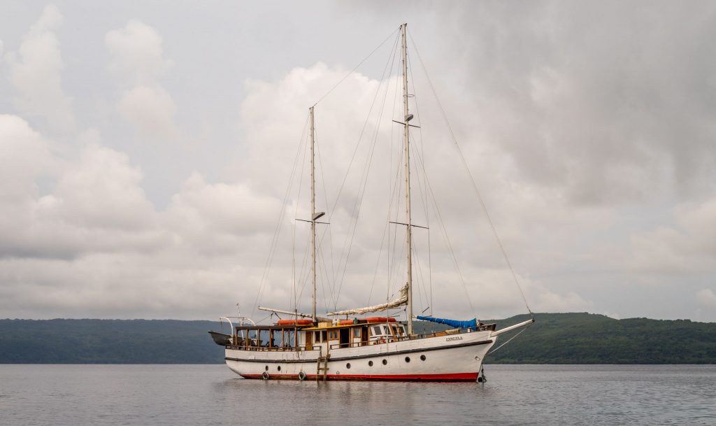 Coongoola Cruise - VANUATU - 7 days in Vanuatu itinerary: travel guide, tips & inspiration
