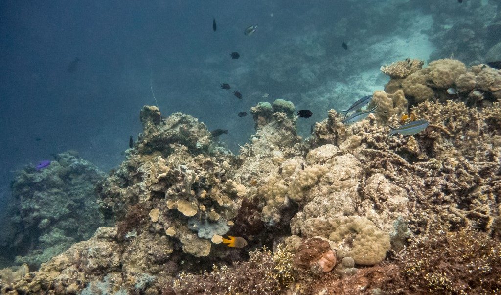 Mundi Diving - SOLOMON ISLANDS - 7 days in Solomon Islands itinerary: travel guide, tips & inspiration