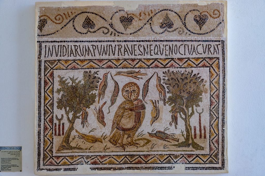El Jem Owl Mosaic - TUNISIA - A two week Tunisia itinerary: a road trip to all the highlights