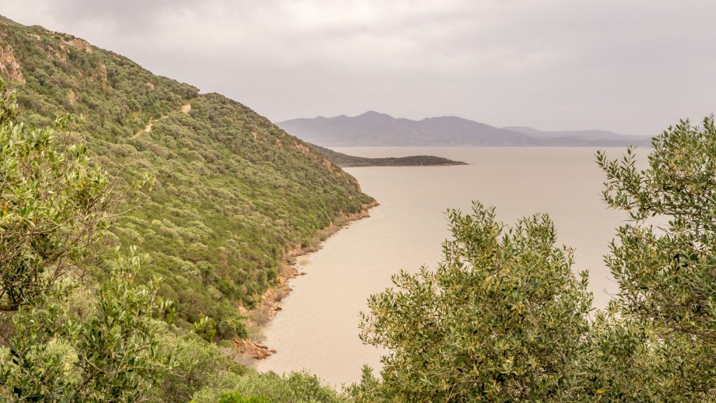 Ichkeul National Park - TUNISIA - A two week Tunisia itinerary: a road trip to all the highlights