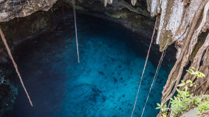 MEXICO - Best cenotes in Yucatan & henequen plantation Sotuta de Peón MEXICO - Best cenotes in Yucatan & henequen plantation Sotuta de Peón