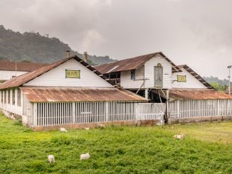 SÃO TOMÉ & PRÍNCIPE - Central São Tomé day trip; culture & nature on paradise island